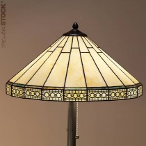 Tiffany Floor Lamp 15564