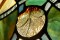 Tiffany Lamp 5299