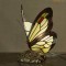 Lampe tiffany Papillon