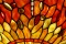Abat-jour Tiffany  Dragonfly Orange Large