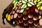 Tiffany Lamp Druiven